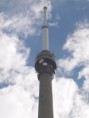 /album/my-local-birding-gallery/top-of-emley-moor-tv-mast-site-for-nesting-box-of-peregrine-falcon-jpg/